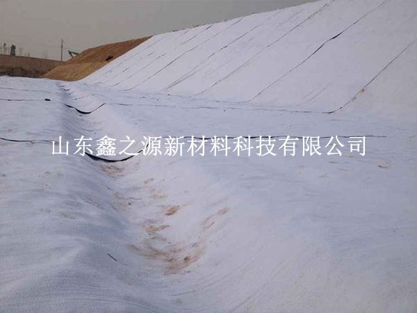 守護(hù)養(yǎng)殖基業(yè)，揭秘防滲膜防老化新策略