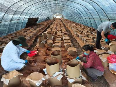 喜迎二十大 電子產(chǎn)品銷售行業(yè)的新機(jī)遇與未來(lái)展望