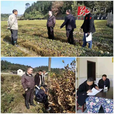 縣林業局開展雙隨機檢查與誠信宣傳，打造陽光執法生態環境