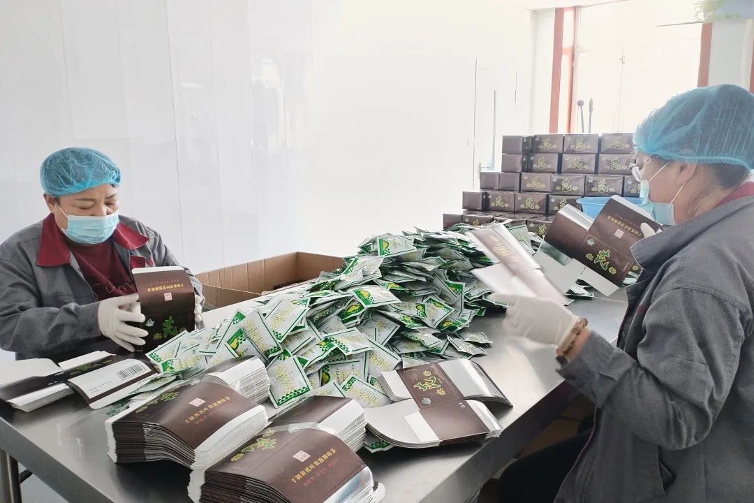 韓家園林業局 做實“兩山”轉化文章，繪就林下經濟發展新畫卷，助力電子產品銷售